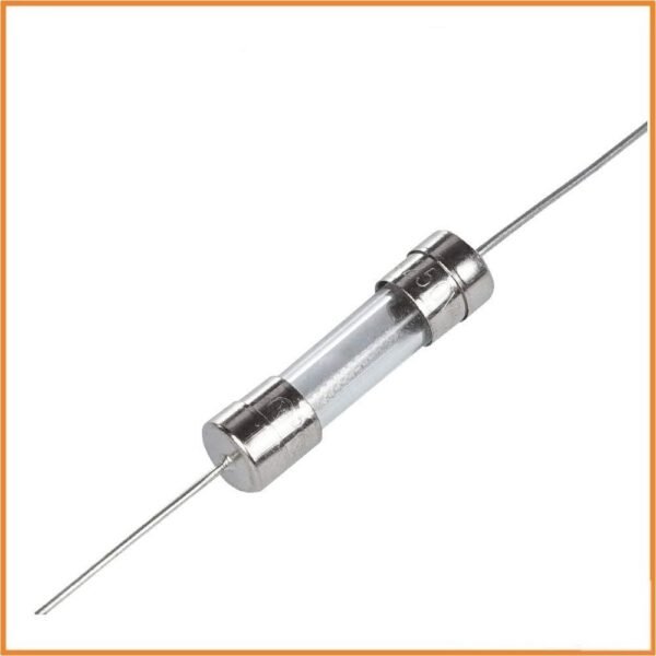 10A Fuse Glass Fuse With Legs Quick Blow Fast Acting